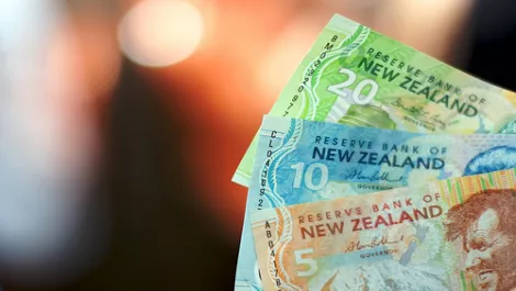 Wellington-based crowdfunding campaign raises over $10,000 in first 12 hours
