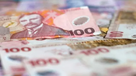 New zealand hundreds