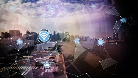 Ted Baker Leather Case