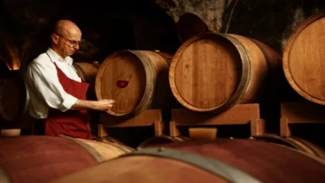 Winemaker Delegat says increased sales due to North American consumers trading up