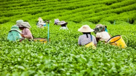 NZ, Vietnam aim to double two-way trade to $2.2B by 2020