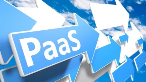 Paas2
