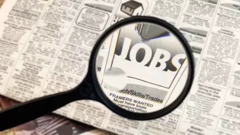 New Zealand job market bolstered by booming tech industry