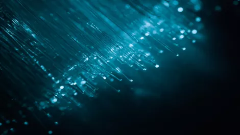Coriant and Internet Multifeed scale up Japan's interconnect 'backbone'