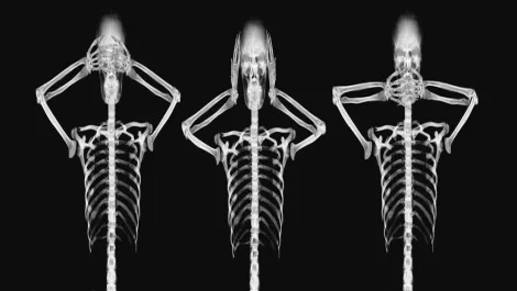 Thinkstockphotos 57339973