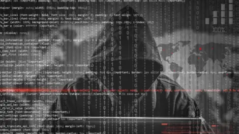 New government 'alliance' formed to combat online scammers