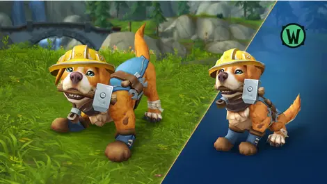 WoW Midnight launches Roofus charity pet for housing aid